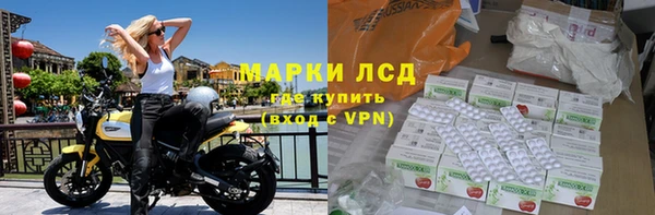 гидропоника Алзамай