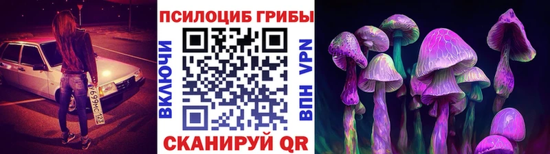 где найти   Ставрополь  Галлюциногенные грибы мицелий 