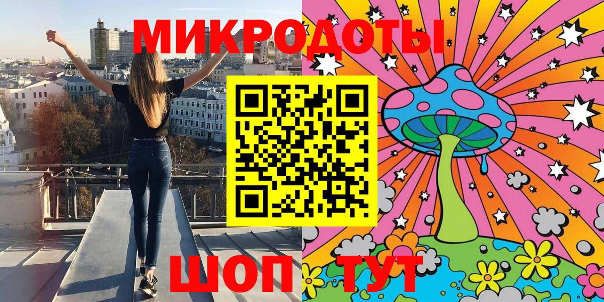 Галлюциногенные грибы Psilocybe Ставрополь